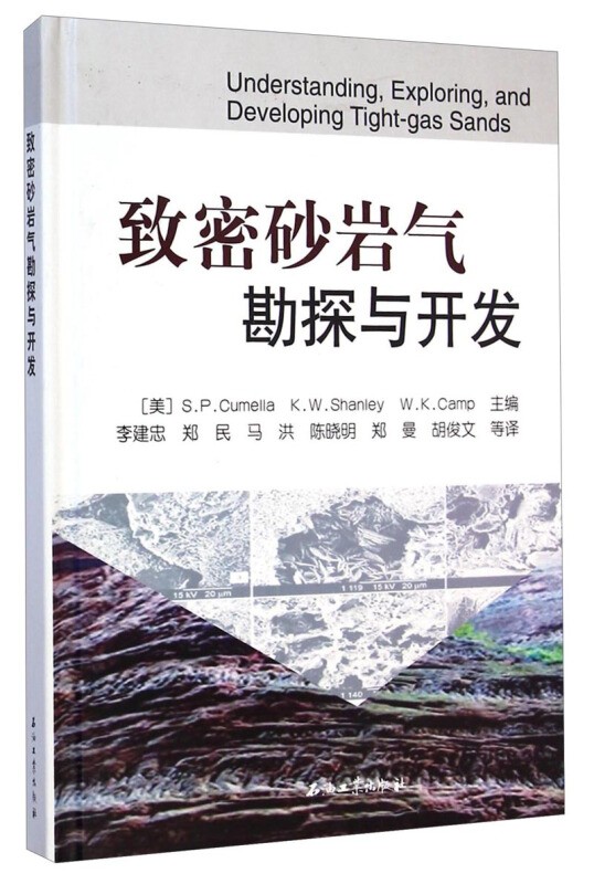 正版 致密砂岩气勘探与开发 石油工业出版社