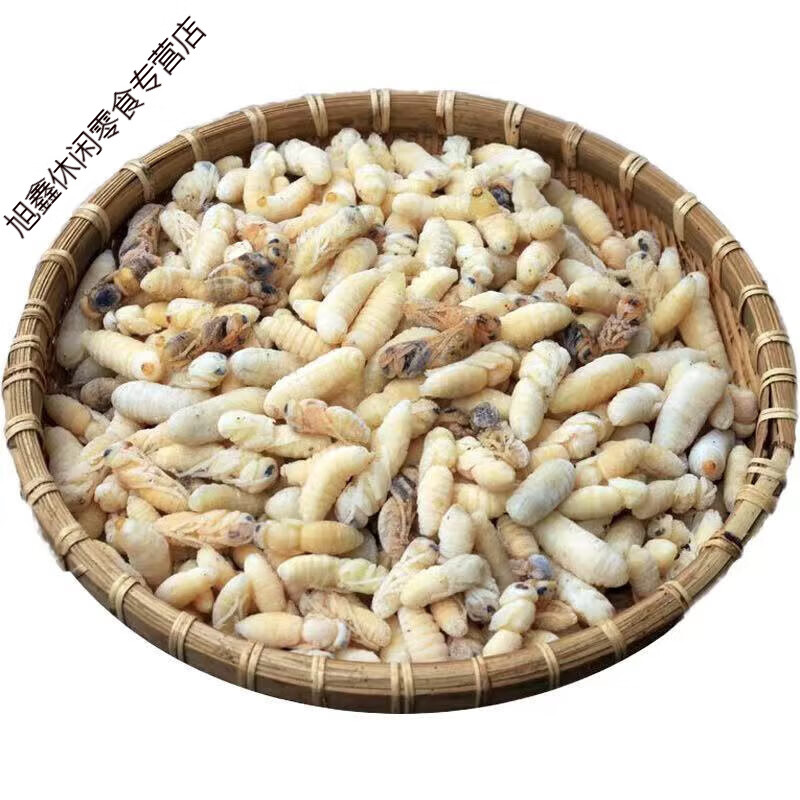 一级马蜂蜂蛹活体新鲜油炸即食网红特产虎头蜂虫幼虫 要吃就吃一级虫