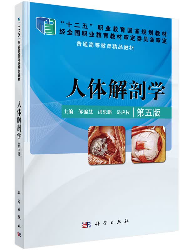 人体解剖学(第五版)邹锦慧,洪乐鹏,岳兴权