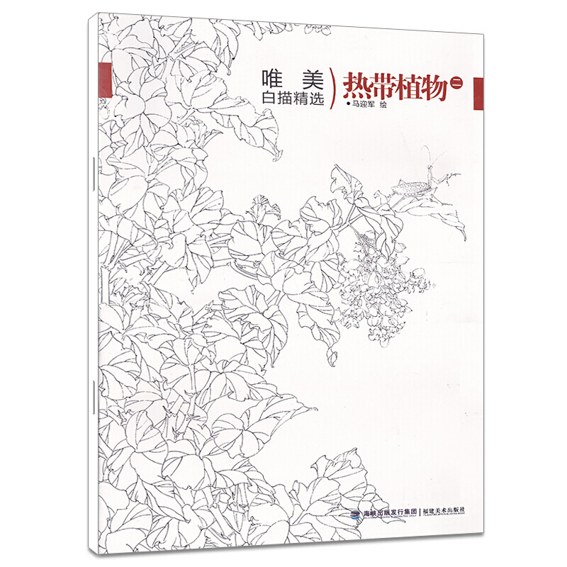 白描画谱 热带植物二 白描画技法 唯美白描精选 中国绘画书籍 国画
