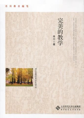 完美的教学9787303185993北京师范大学出版社