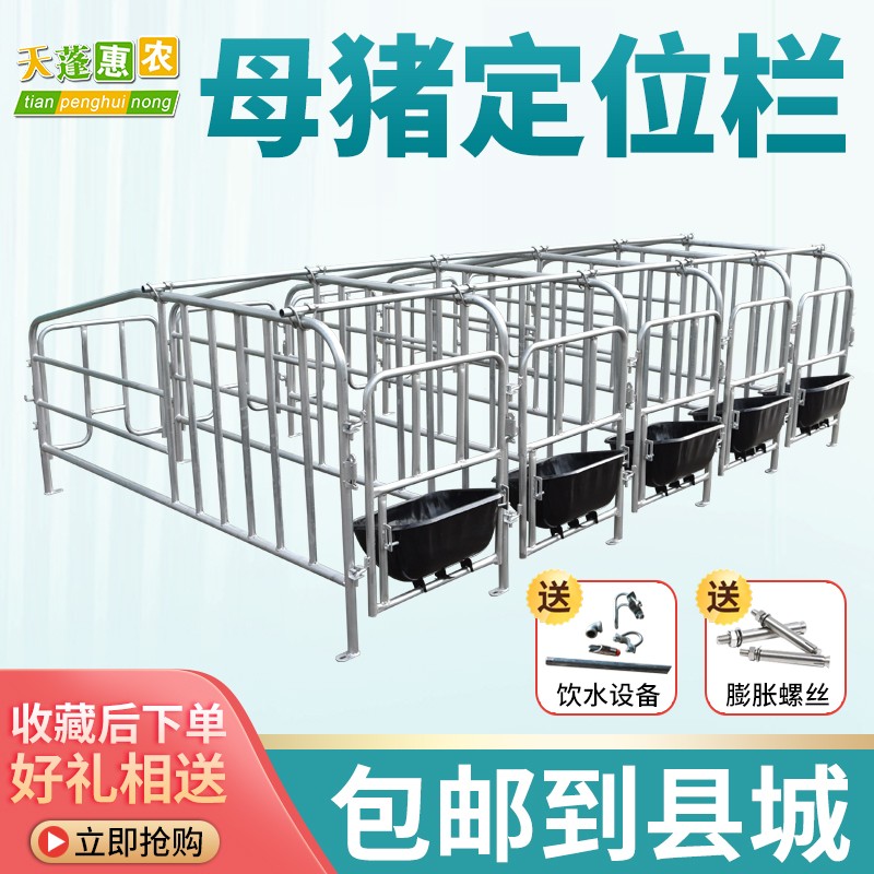 潮鸣(chaoming)母猪定位栏 限位栏母猪食槽养猪设备猪用围栏母猪产床