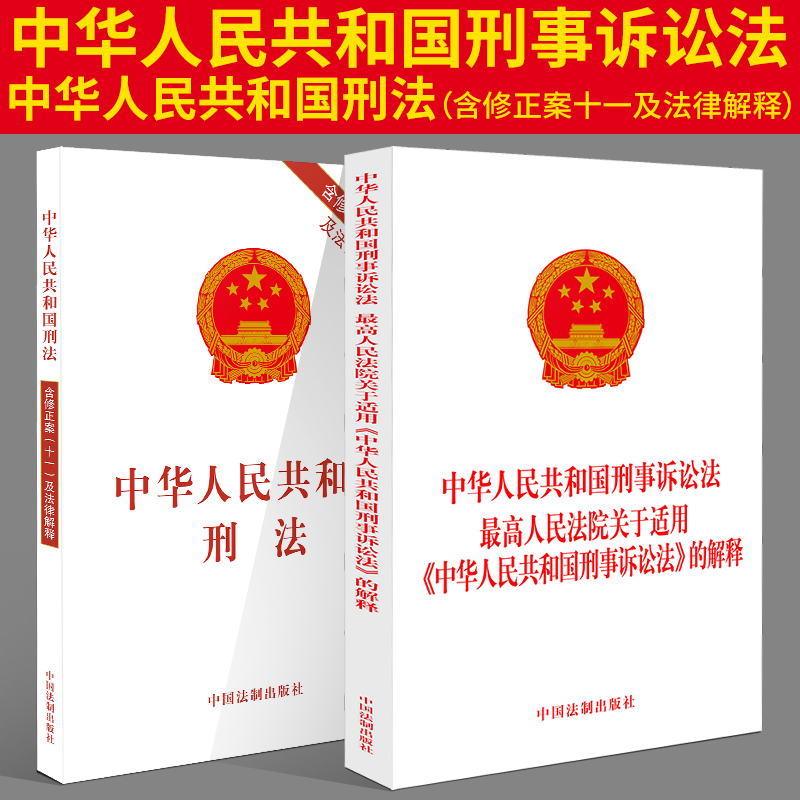2021年新版 中华人民共和国刑法（含修正案十一）+最高人民法院关于适用刑事诉讼法的司法解释