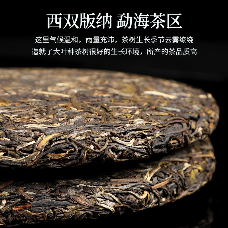 陈一凡 普洱原产生茶 云南勐海古树纯料春茶 茶叶2017年批次七饼共5斤