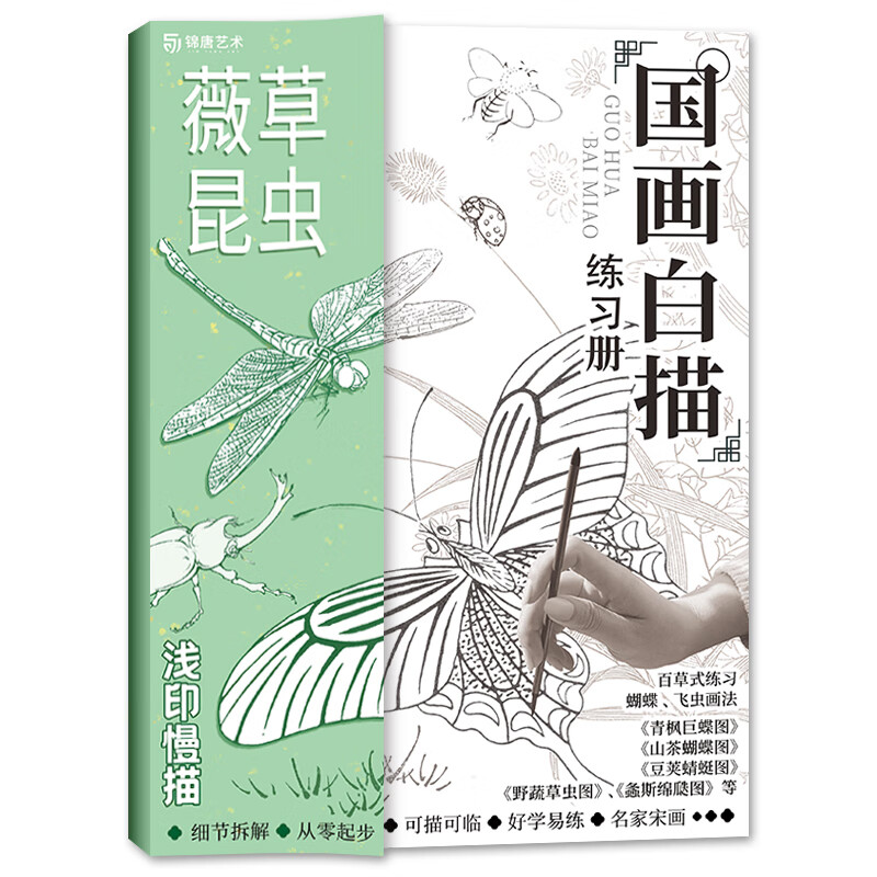 薇草昆虫 国画白描练习册 工笔画底稿白描画稿 工笔画白描描摹 临摹