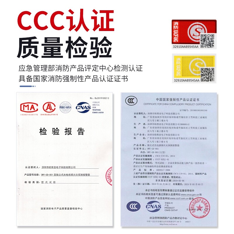 立可安物联网烟雾报警器WiFi烟感报警器商用家用手机远程电话通知报警 烟雾报警器（经济款）