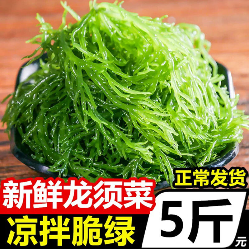 龙须菜新鲜海菜凉拌龙须菜海藻火锅凉拌菜龙须草鹿角菜特惠5斤装 原味