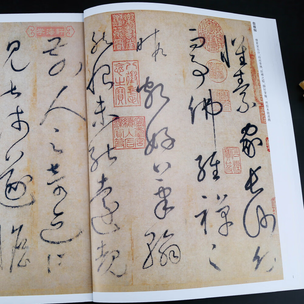 学海轩共8帖怀素历代名家书法王冬梅繁体旁注自叙帖苦筍帖论书帖食鱼