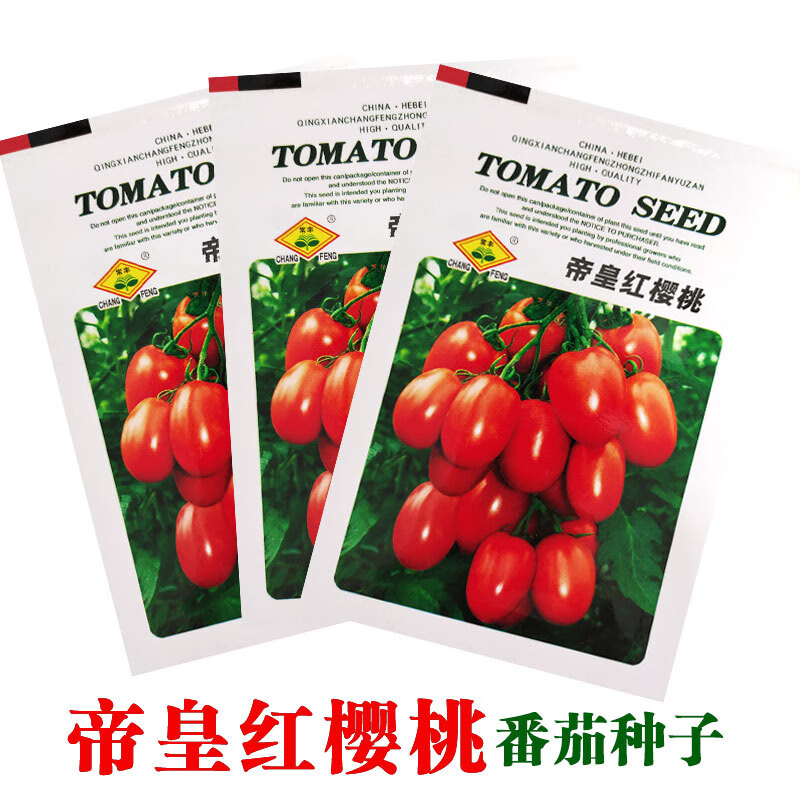 红圣女果种子樱桃小番茄蔬菜西红柿种籽孑盆栽黄圣女果蔬菜籽 帝皇红