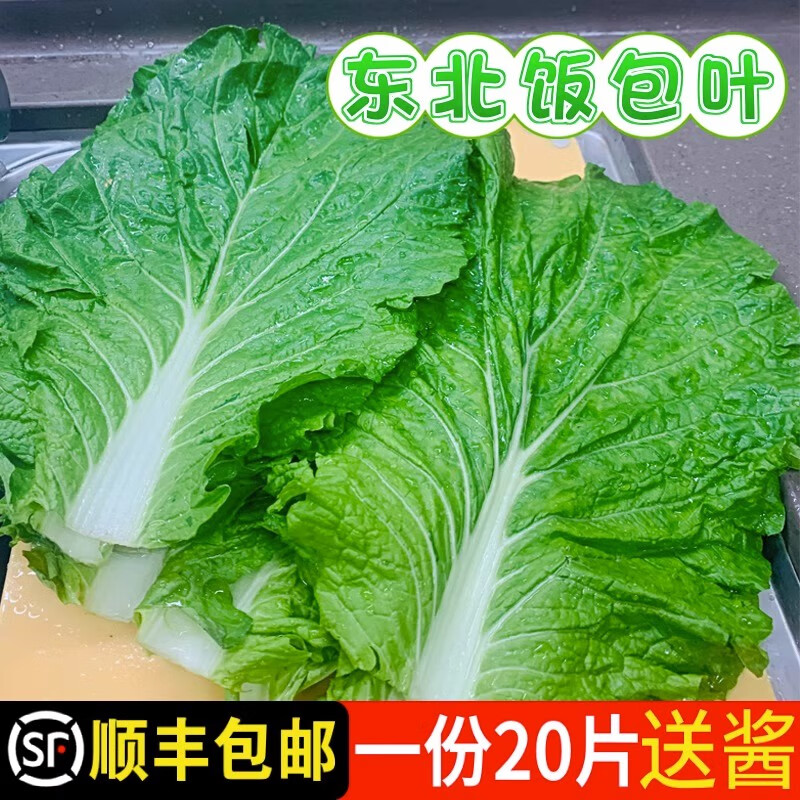林中山【顺丰发货】东北当季新鲜大白菜叶打饭包菜叶子打菜包饭20片