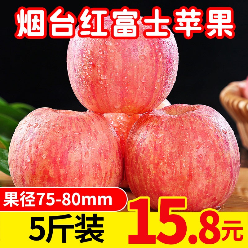 37903-曙光 山东烟台栖霞红富士苹果 当季新鲜苹果水果脆甜苹果生鲜 冰糖心 5斤装(75-80mm)-详情图