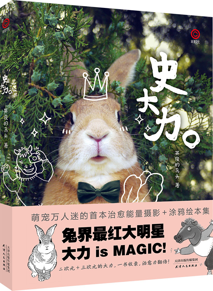 史大力 英俊的马头