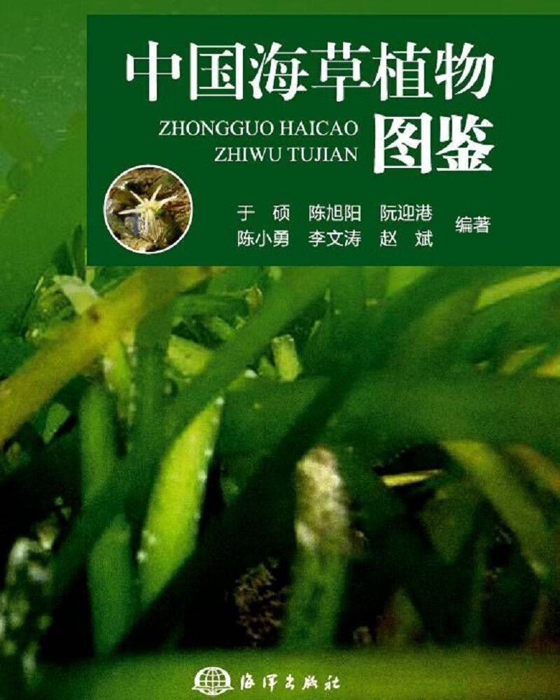 海洋植物名称大全图片