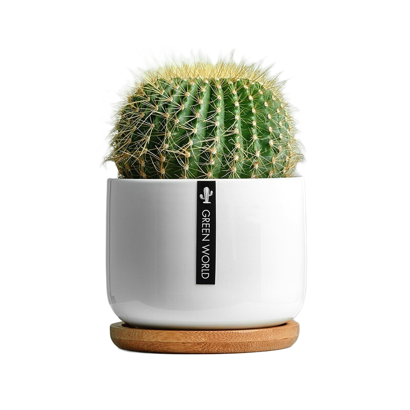 ֲֲСϺ辰 ƼŽڡ״ɺ     65.6Ԫ4(16.4Ԫ/)