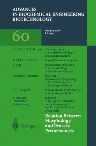 预订 relation between morphology and process performances