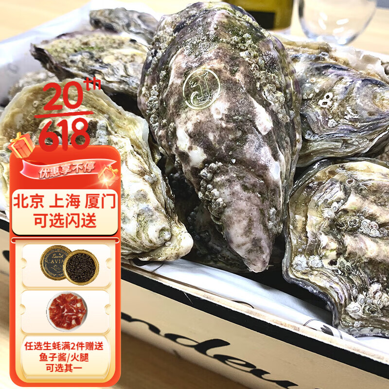贝类历史价格怎么查|贝类价格走势