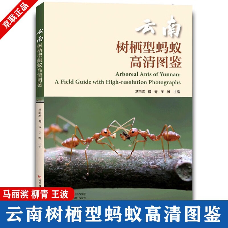 云南树栖型蚂蚁高清图鉴