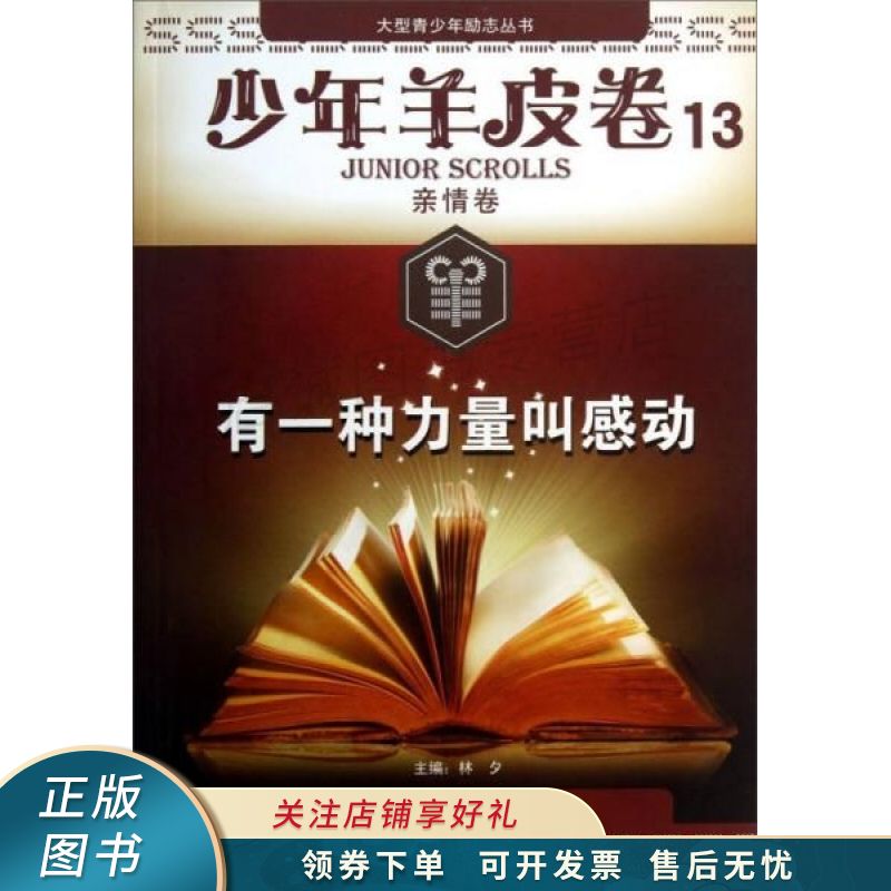 大型青少年励志丛书：有一种力量叫感动少年羊皮卷 林夕