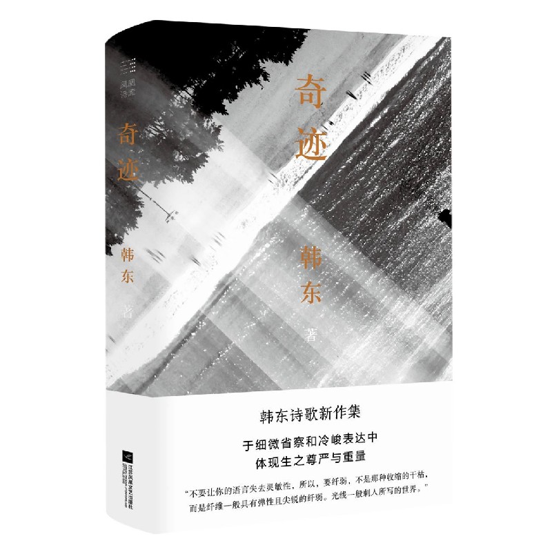 （精装）奇迹 韩东著 第八届鲁迅文学奖获奖诗集 《晶报·深港书评》2021年度十大好书 豆瓣2021年度诗歌好