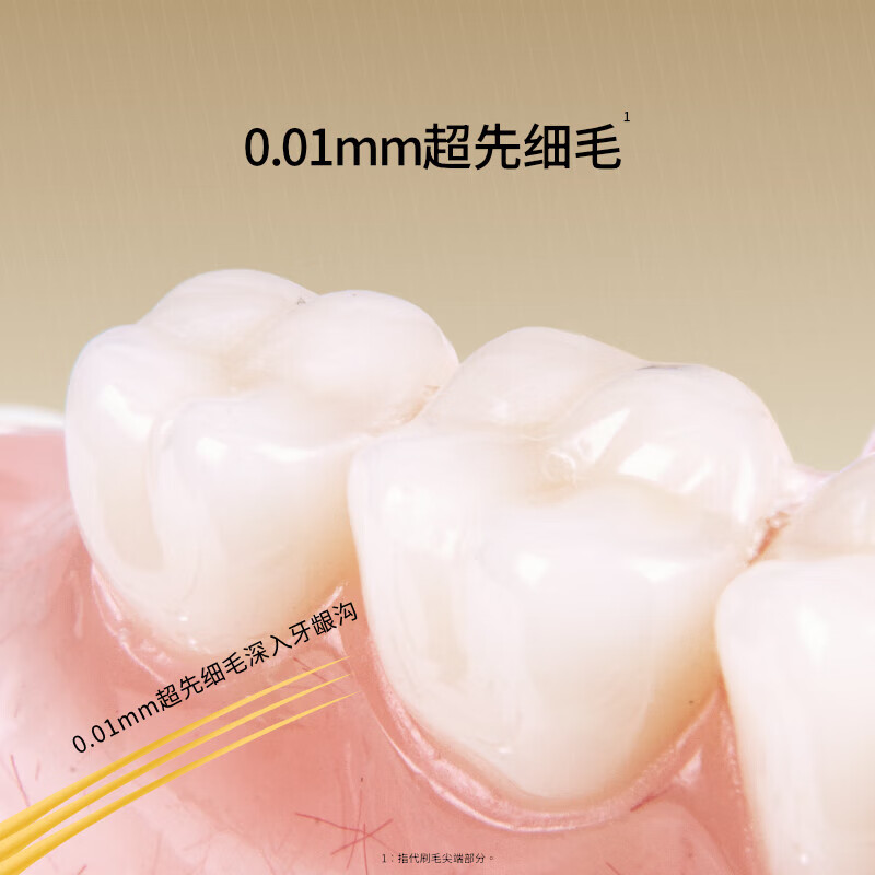 惠百施（EBISU）牙刷65孔2支 进口中毛软毛宽幅大头手动成人牙刷深层清洁情侣款 【高效清洁除垢】65孔中毛 2支