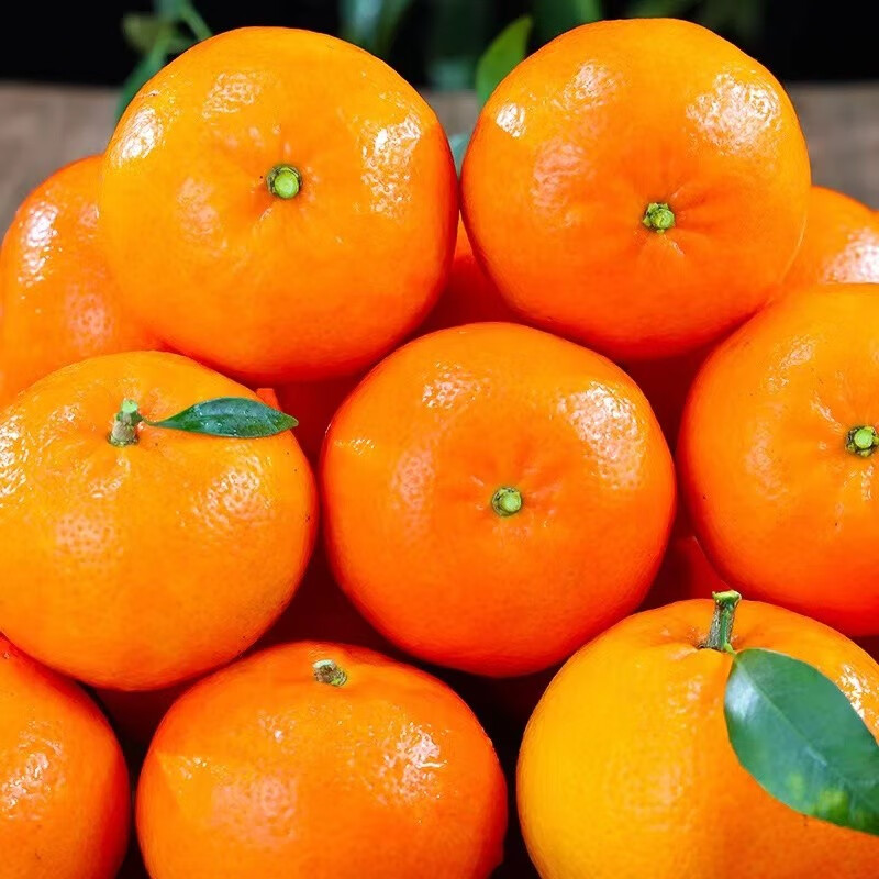 鲜惠源云南沃柑水果新鲜当季蜜橘子纯甜桔子 精选4.5斤装
