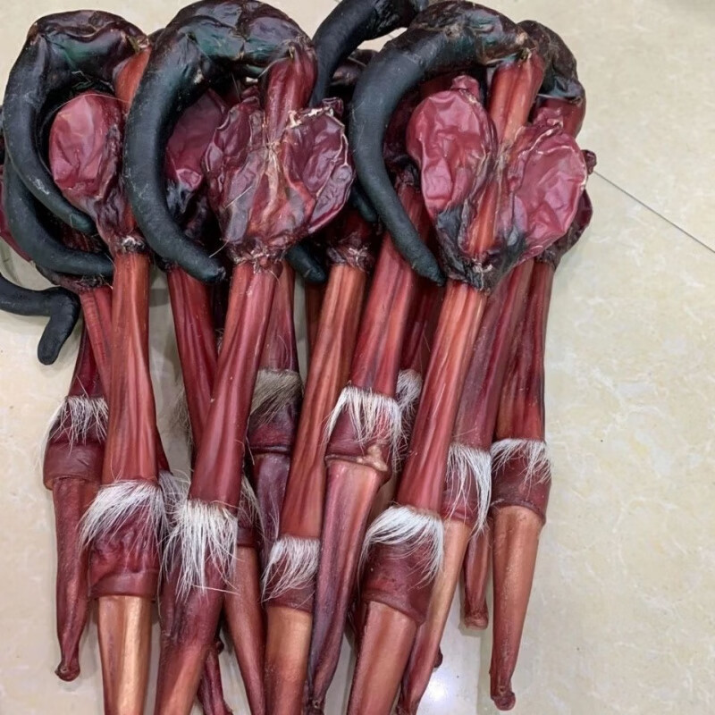 吉林梅花鹿带尾巴鹿鞭干整根东北长白山成年壮男性滋补带礼盒 带尾