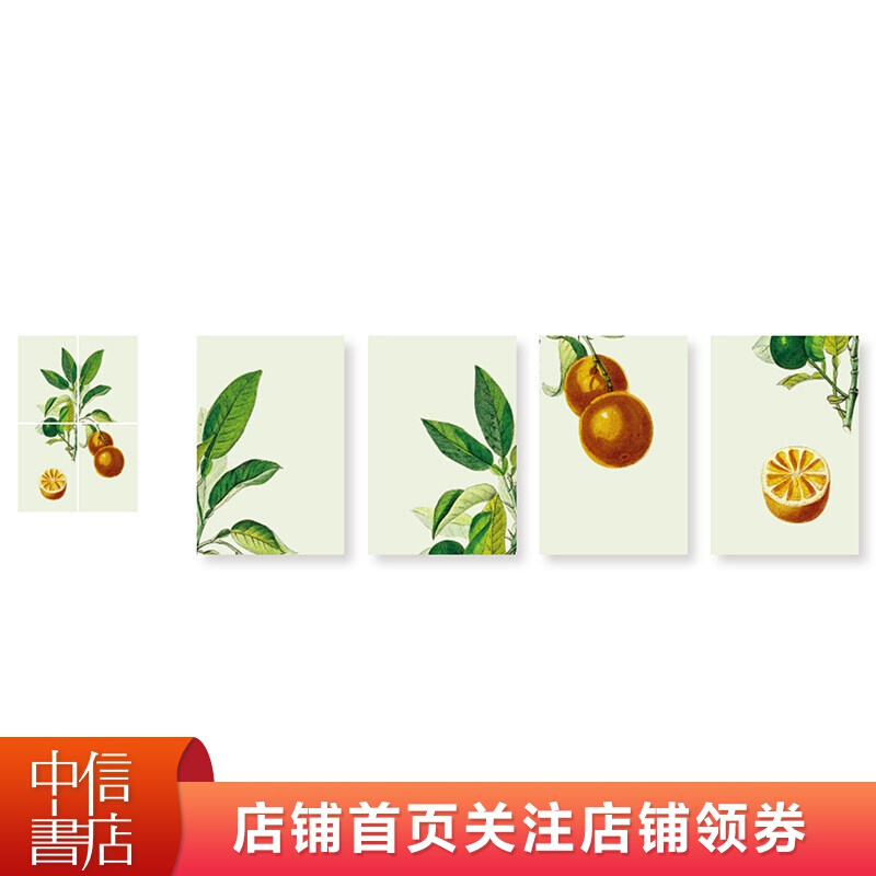 手绘植物明信片4片装 听见花开的声音2019世园会限量纪念文创 盛夏