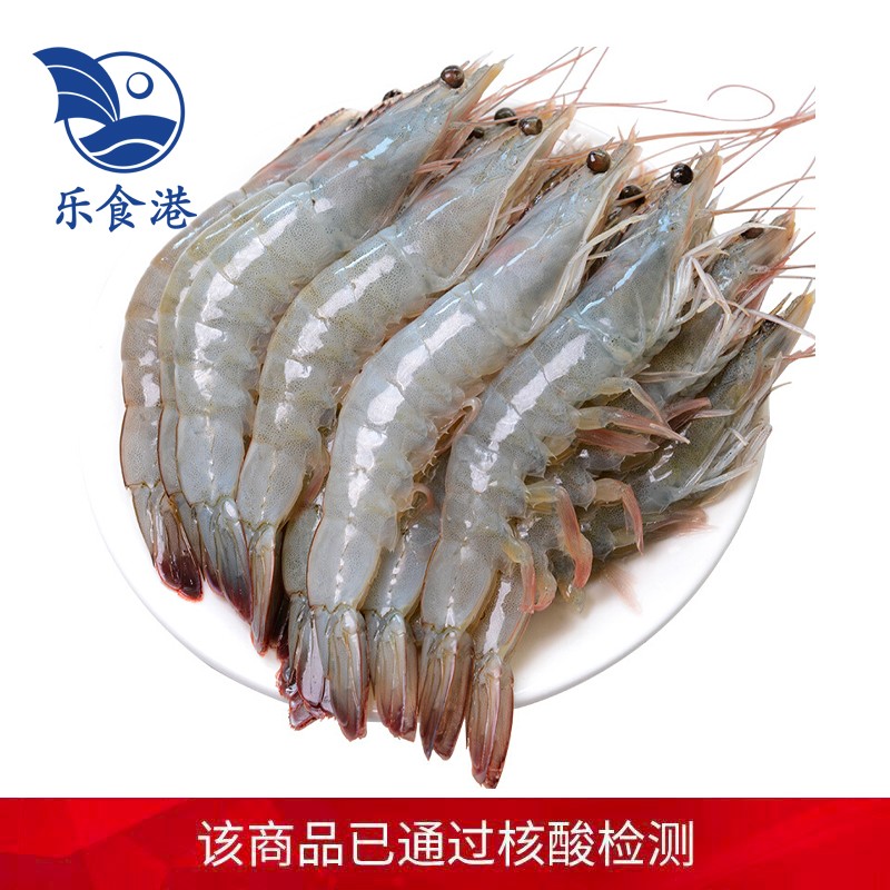 【活鲜】乐食港鲜活海白虾国产大虾白虾500g活虾海鲜 1斤活虾