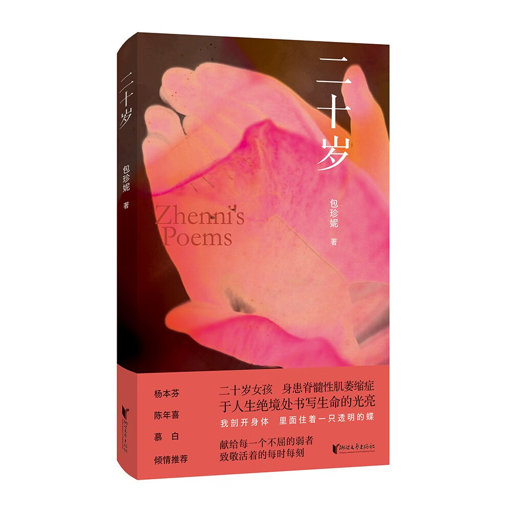 正版现货 二十岁9787533970697