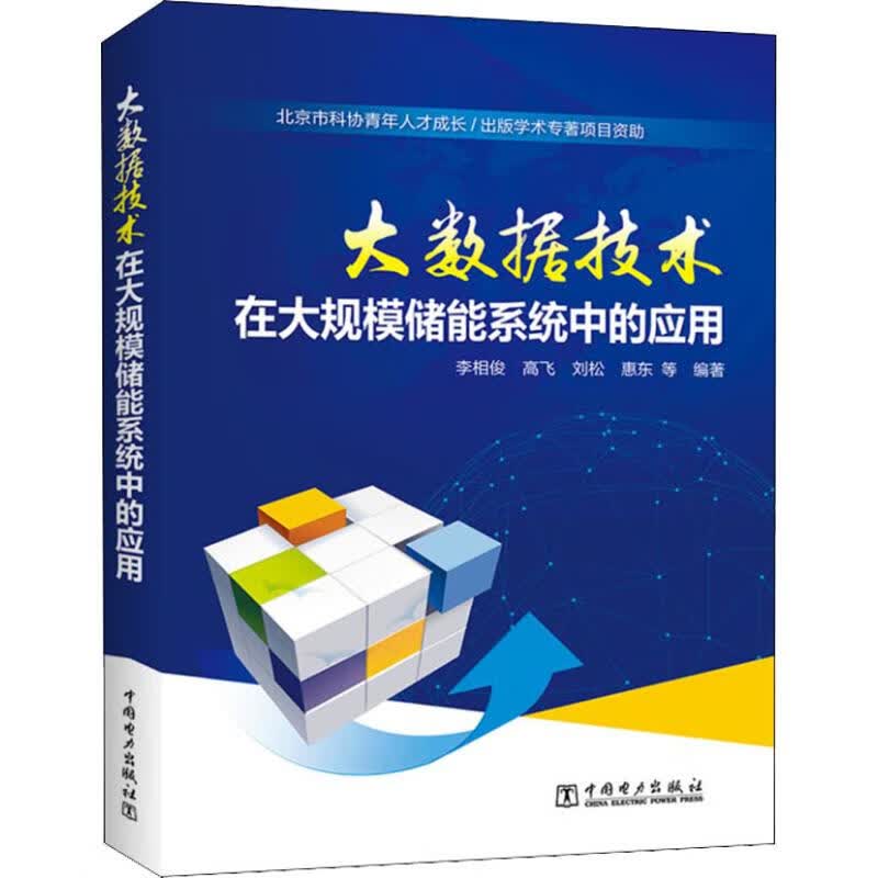 大数据技术在大规模储能系统中的应用 李相俊 等 书籍