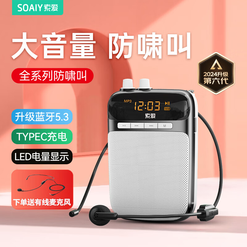 索爱（soaiy）S318小蜜蜂扩音器教师专用U盘TF卡防啸叫蓝牙音箱音响喇叭麦克风导游导购户外喇叭便携式Type-c 黑