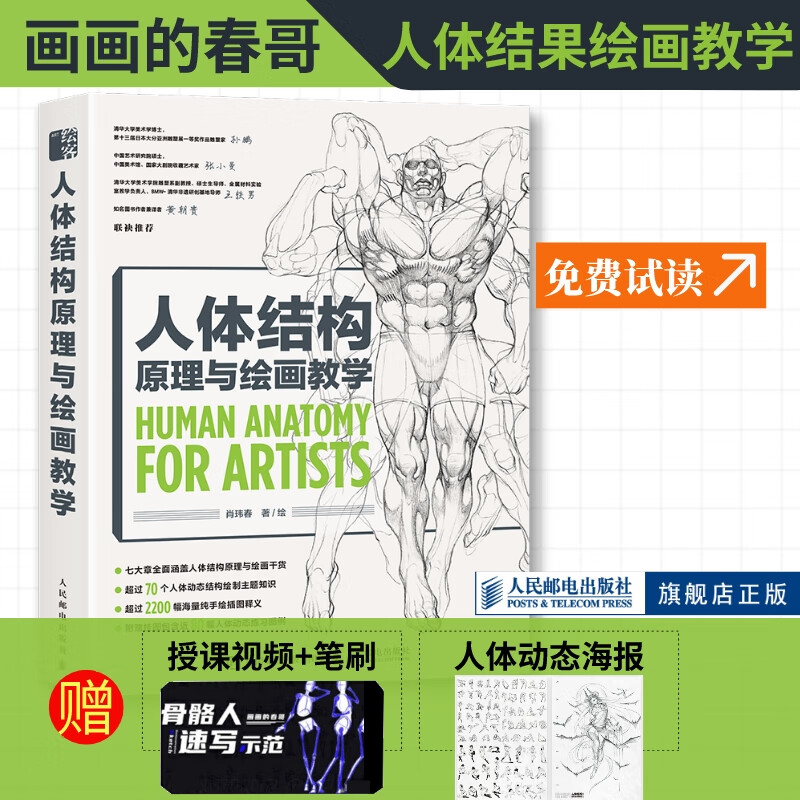 人体结构原理与 画画的春哥书人体结构手绘