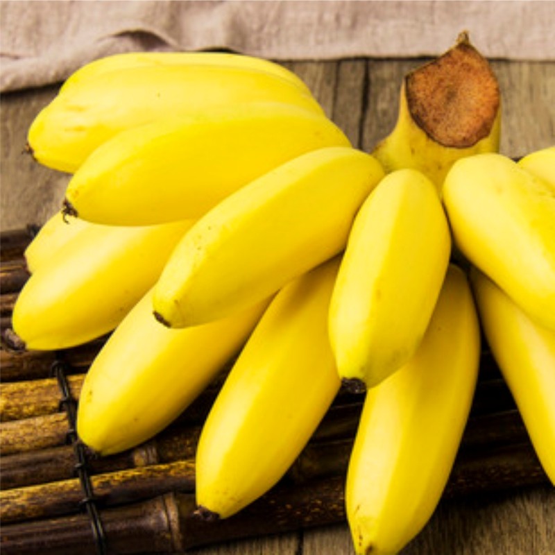广西香蕉小米蕉现发新鲜采摘水果小芭蕉热带水果 9斤含箱