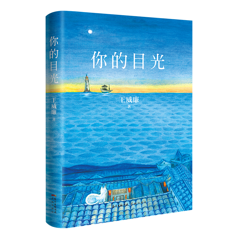 你的目光 9787536096813 王威廉 全新正版