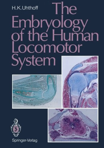 预订 the embryology of the human locomotor system