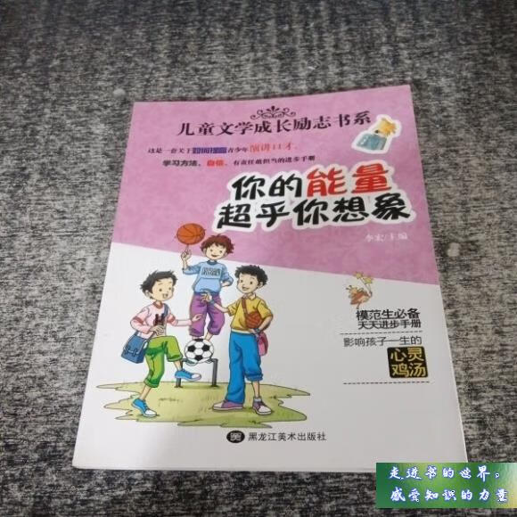 二手书八五新 你的能量超乎你想象 李宏 黑龙江美术出版社 标准