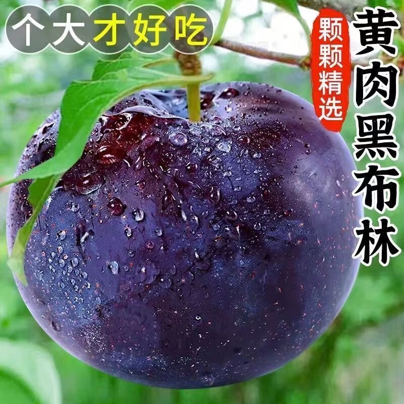 京东新品首发 2023-08-23 - 第14张  | 最新购物优惠券