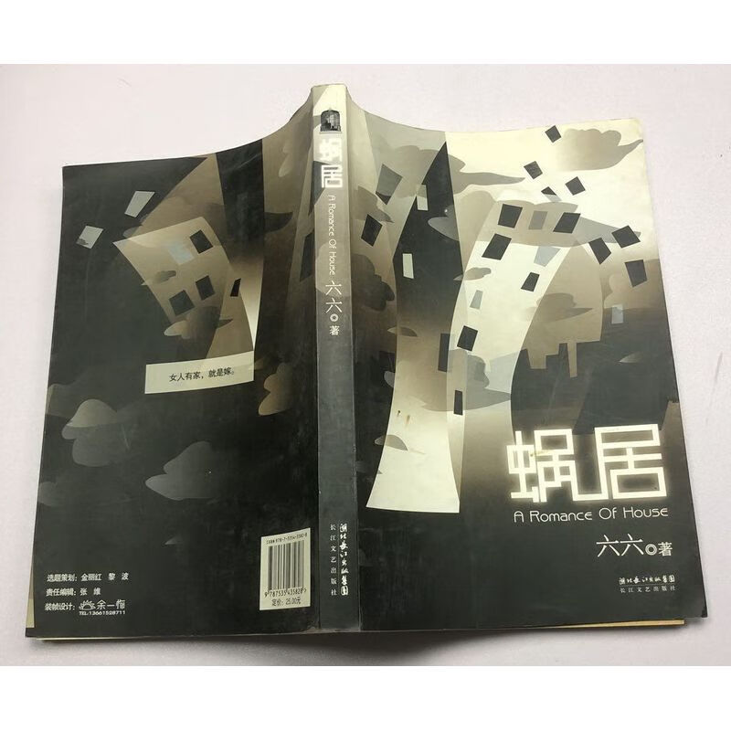 长江文艺都市情感爱情职场反腐小说 版老旧