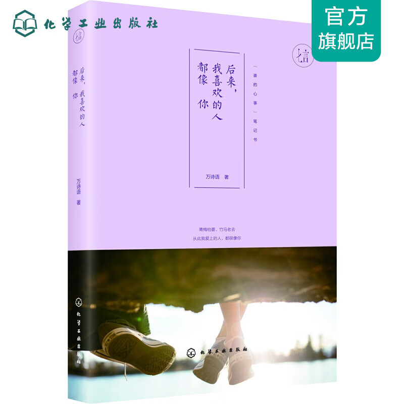 后来，我喜欢的人都像你