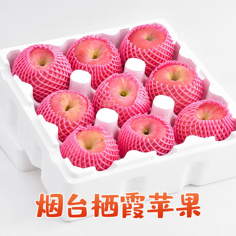山东烟台栖霞红富士苹果水晶红富士脆甜多汁新鲜水果丑苹果整箱 带箱9.5-10斤大果【约15-18个】净重8.5斤+