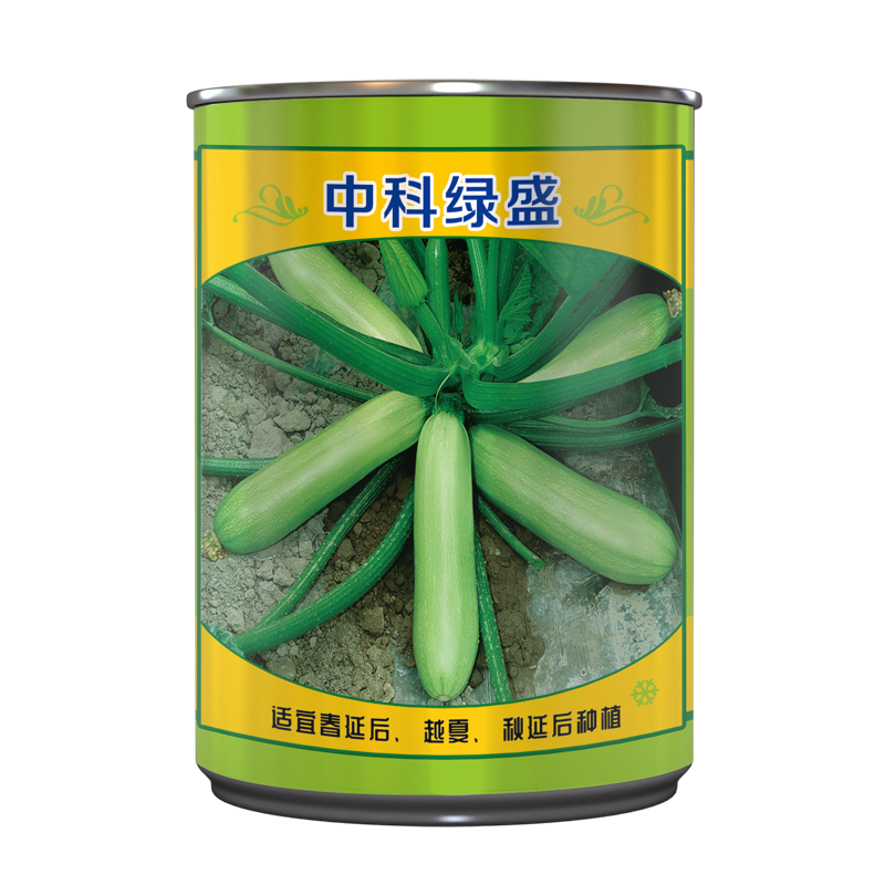 中科茂華蔬菜種子中科綠盛西葫蘆種子耐熱毒春延越夏露地茬口油綠型油葫蘆高亮度早熟規模種植 中科綠盛300粒盒【越夏春延秋延露地】