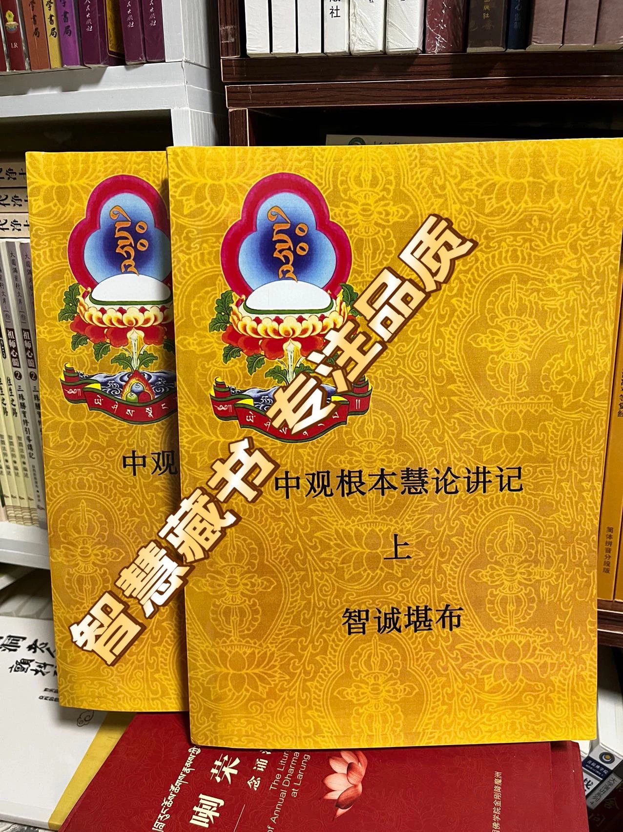 【中观根本慧论讲记】 智诚堪布优品值得收藏 上下册全套 特大8开本 市面量
