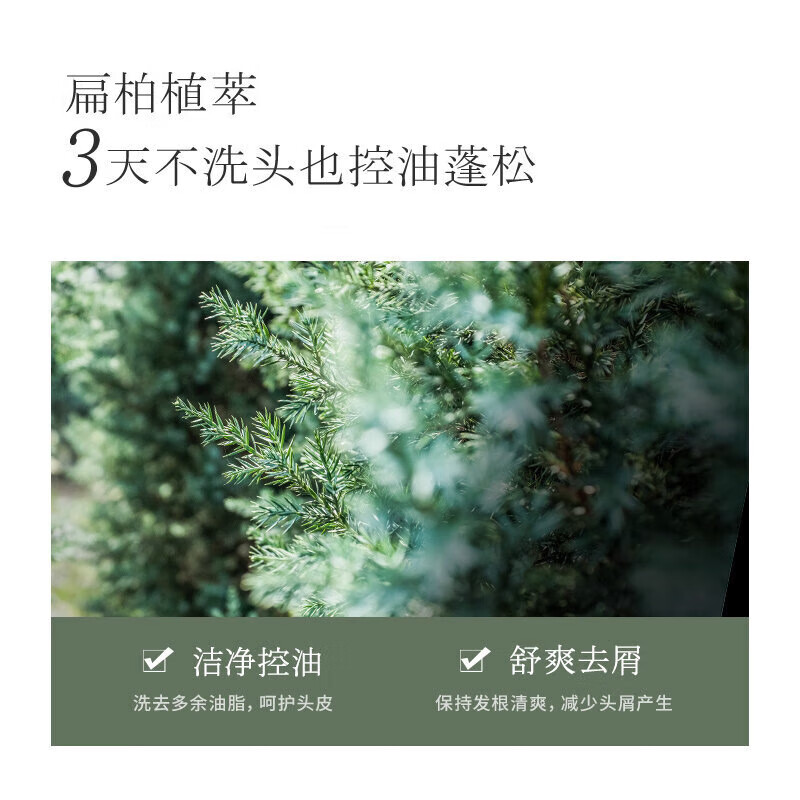 浅香洗发水沐浴露套装控油蓬松去屑柔顺留香护发乳洗发露男女士洗头膏 蓬松洗发水728g+扁柏洗发水728g