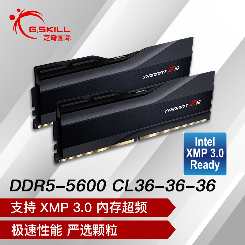 芝奇32GB(6Gx2)套装 DDR5 6400频率 台式机内存条-幻锋戟RGB灯条(科技 32G(16Gx2) 5600频 C36/黯雾黑 1