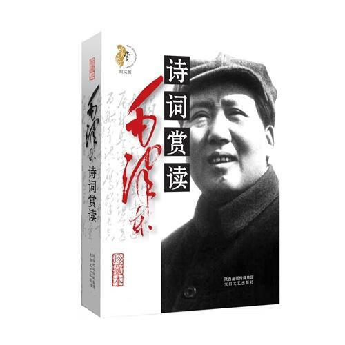 诗词赏读文学 图书