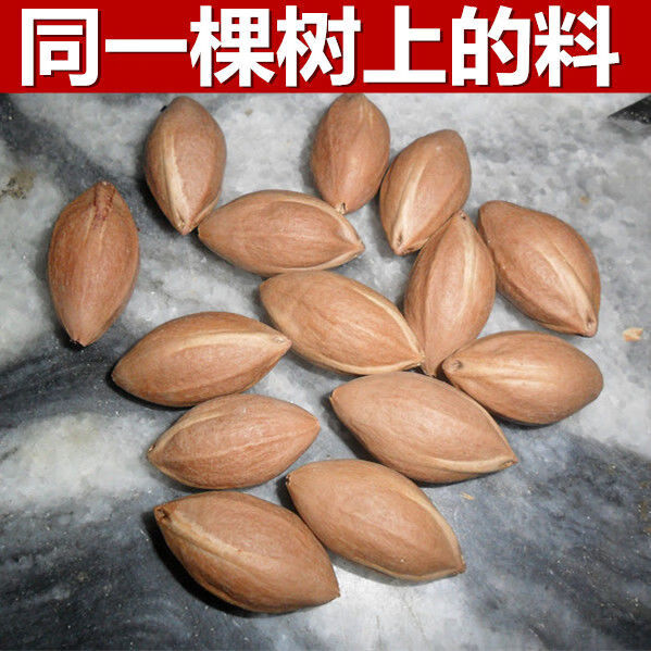 橄榄核原籽原料核雕刻老油核原籽师傅雕刻手串新手学徒教学练手料sn
