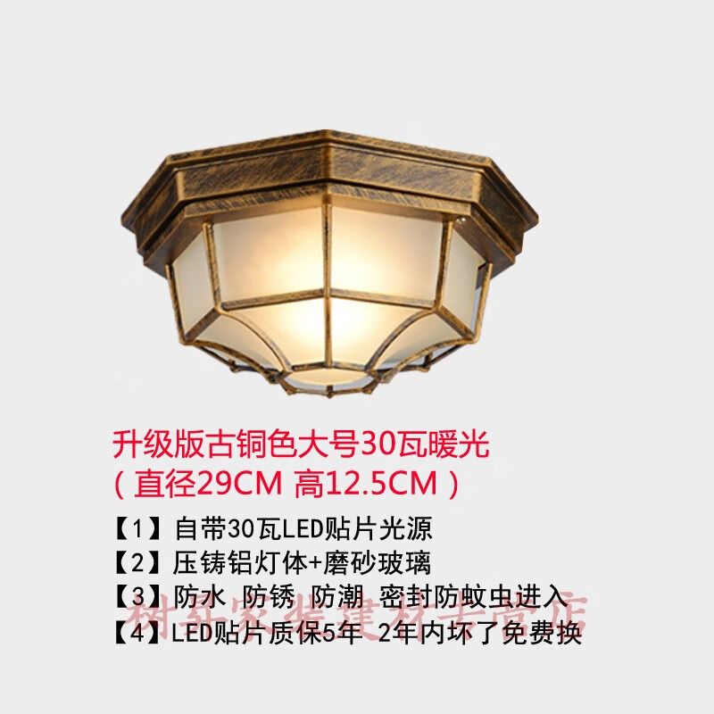 别墅大门口灯大门户外室外阳台入户门口过道走廊吸顶灯欧式复古防水