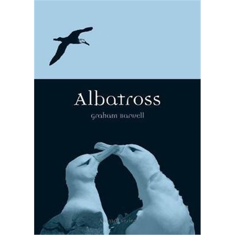 预订albatross