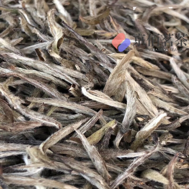 萃隐 福鼎老白茶白毫银针茶明前福建白茶太姥银针老白茶500g