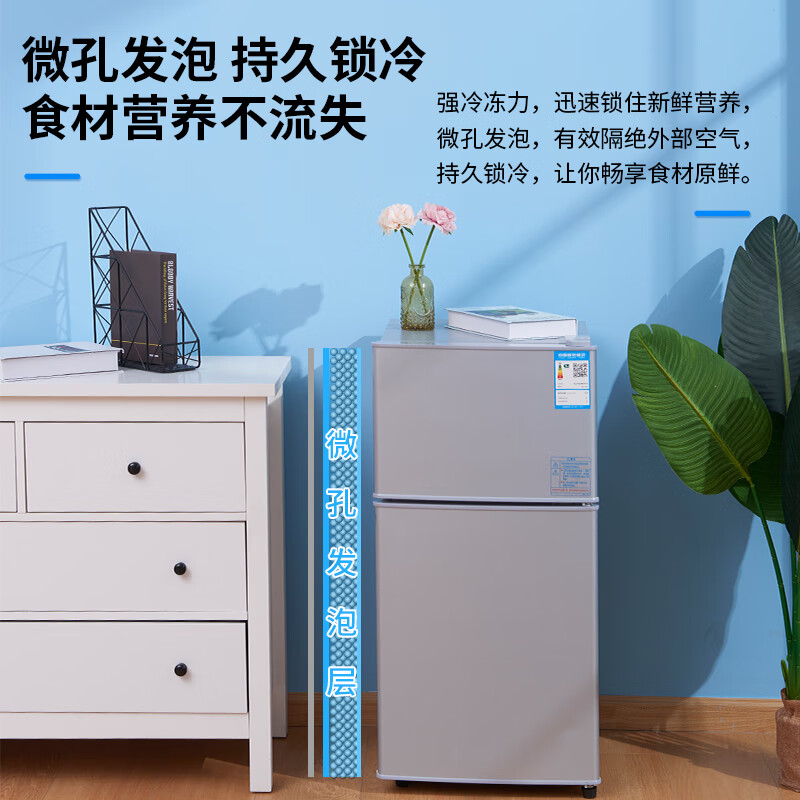 【旗舰店】申花（SHENHUA）小冰箱小型家用宿舍租房寝室节能迷你冷藏冷冻特价双开门两门电冰箱 一级能效-82L-银【加厚款】三人用